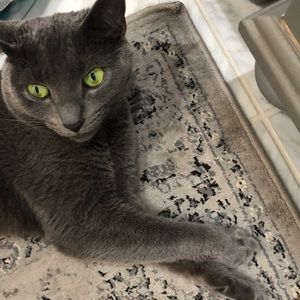 Meet your Posher, Gail